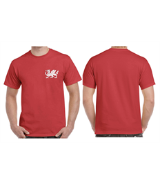 ROE printed t-shirt (option 1)