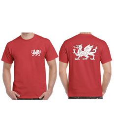 ROE printed t-shirt (option 2)