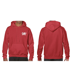 ROE printed hoodie (option 1)